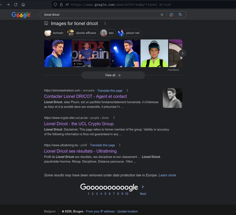 Capture d’écran d’une recherche Google pour « Lionel Dricot »