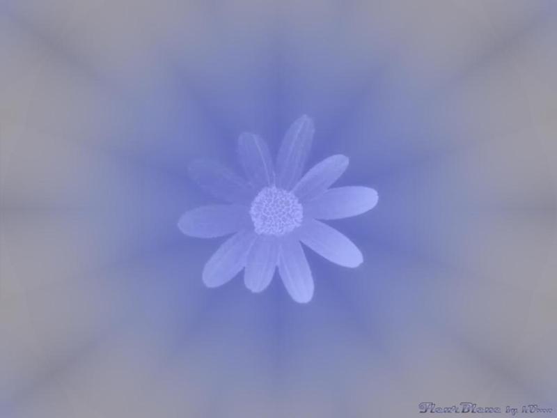 Fleur Bleue