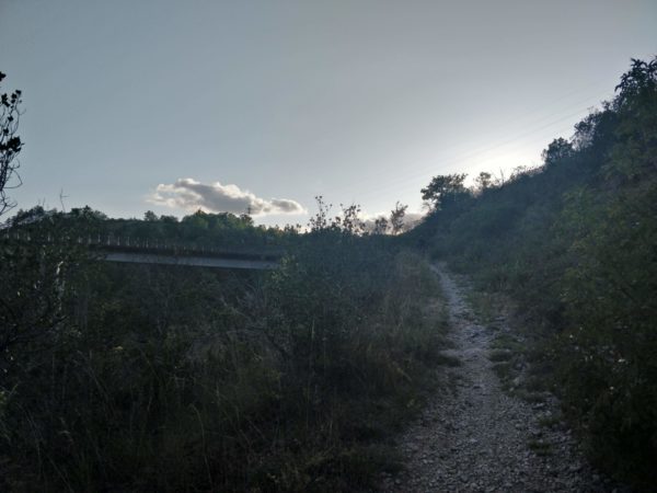 ../files/old/IMG_20190813_194245-600x450.jpg