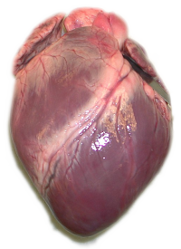 Un coeur gros comme ça