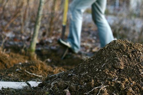 Backyard digging