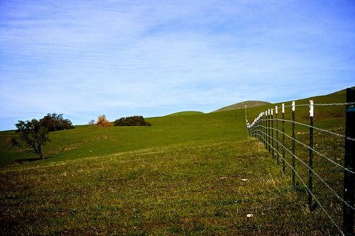 Une barrière dans la prairie