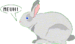 Le lapin