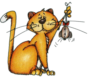 Chat