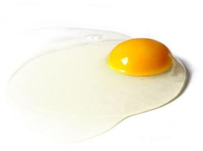oeuf