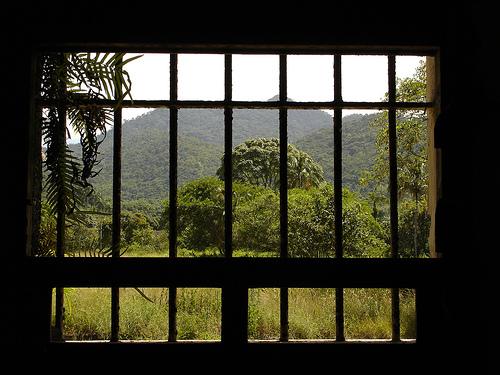 Barreaux de prison