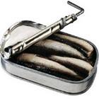 Sardine
