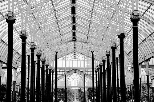 Une serre transparente en noir et blanc