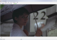 Screen VLC